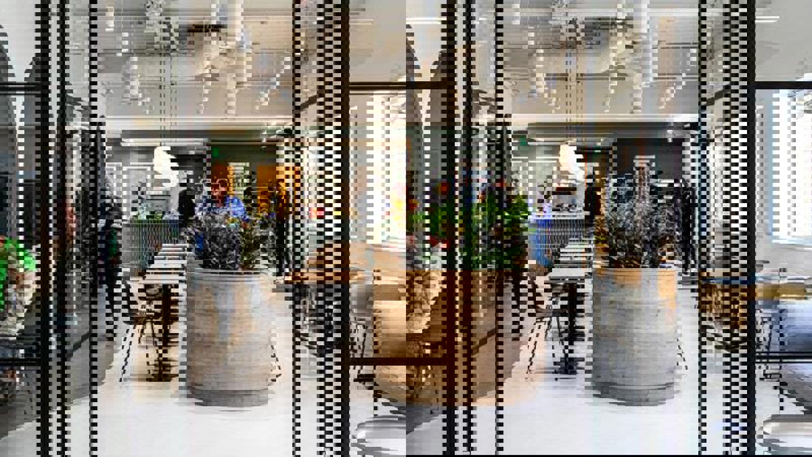 Image 6.jpeg Image 6