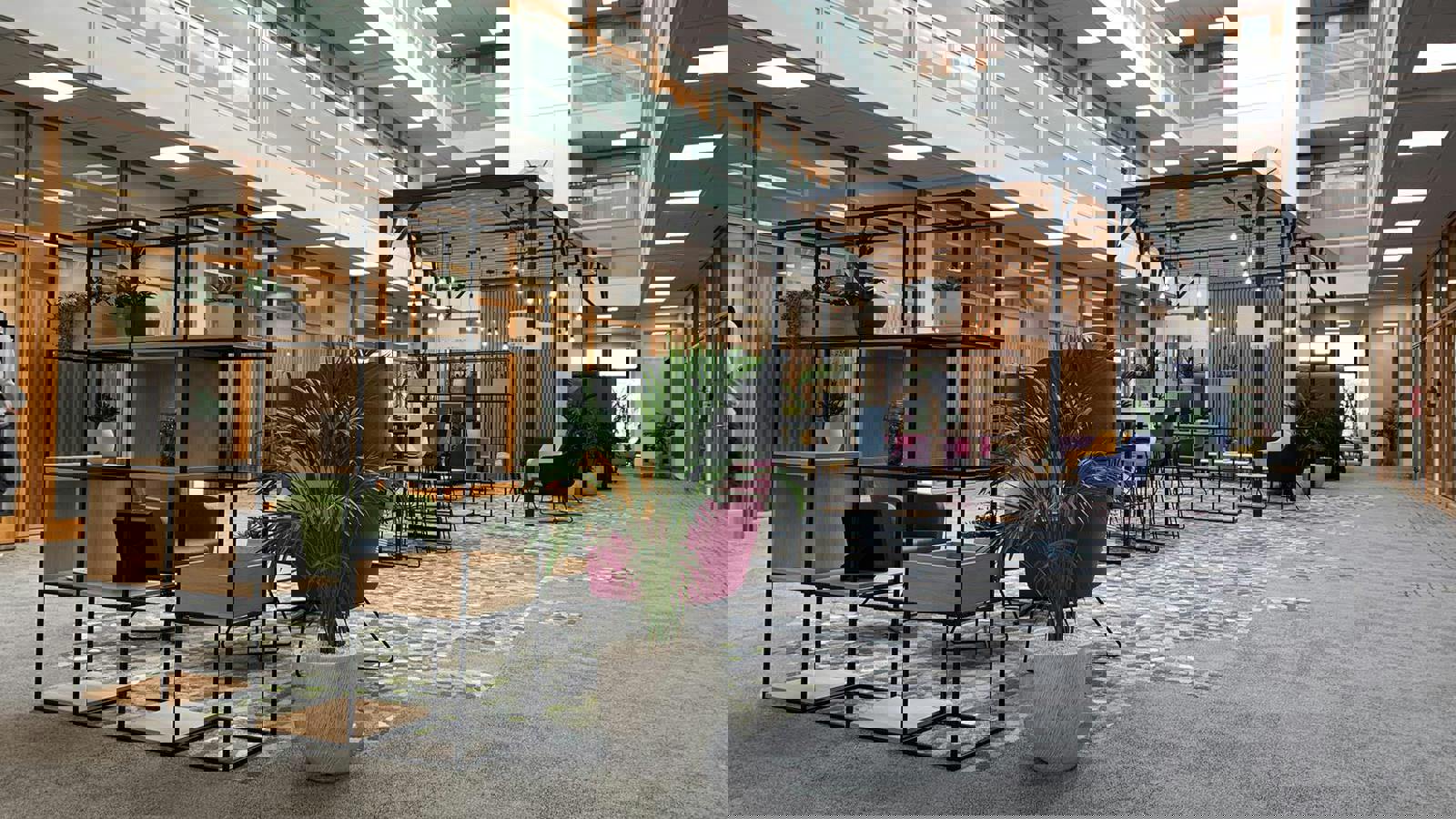 Shenley Atrium Fitout Main 