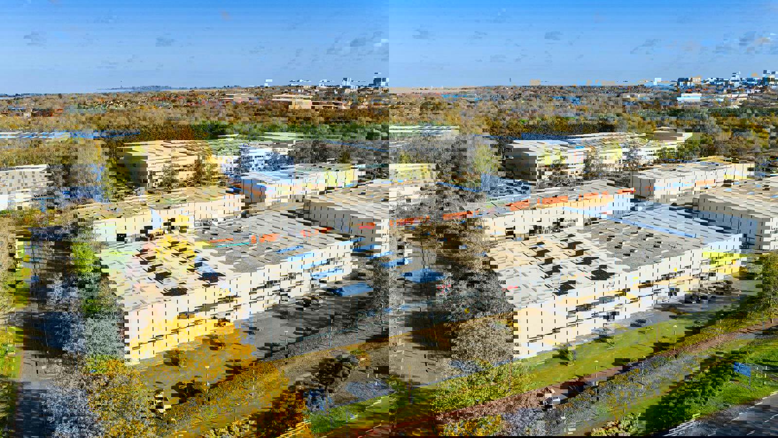 5e725e16-71c2-4257-a13b-b4b972f6fd41_web1.jpg 5e725e16-71c2-4257-a13b-b4b972f6fd41_web