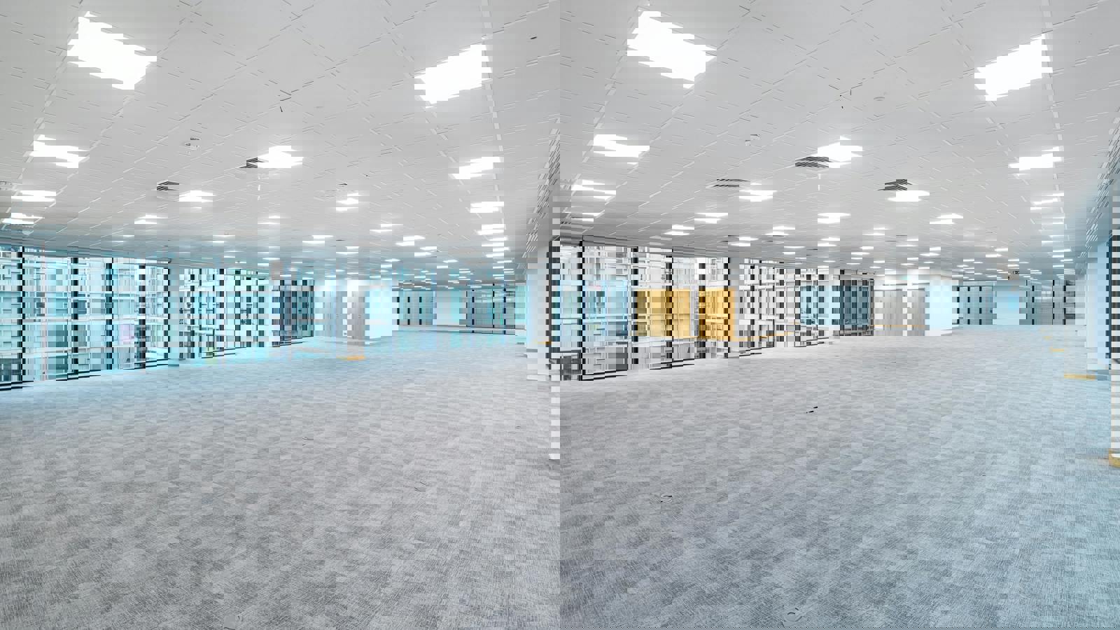 Image 17.jpeg Image 5