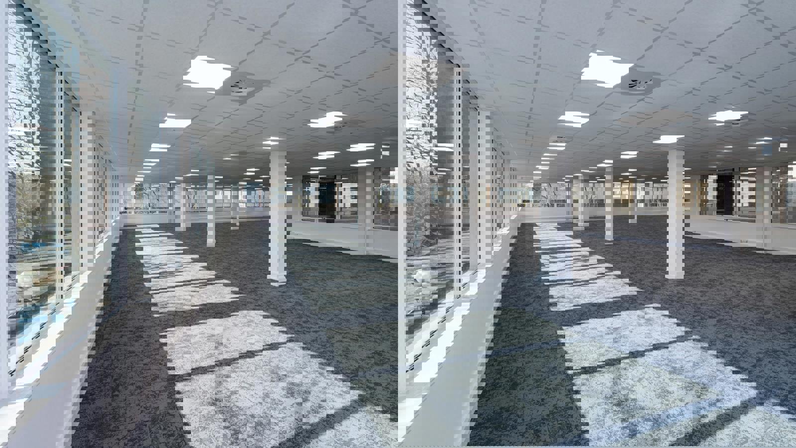 Image 6.jpeg Image 6