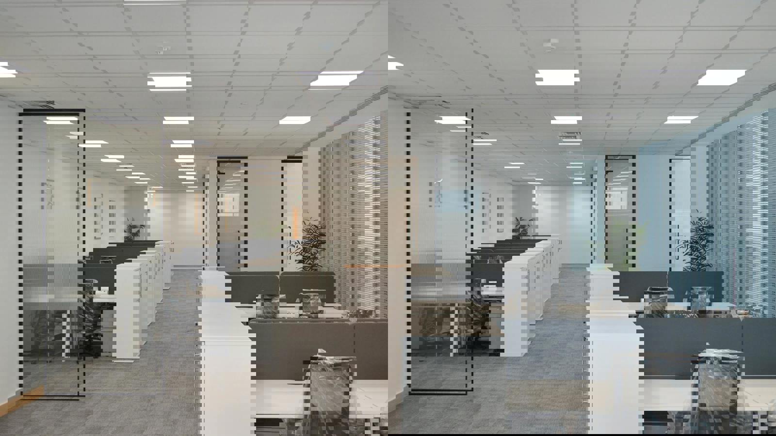 DSC_0094.jpg DSC_0093