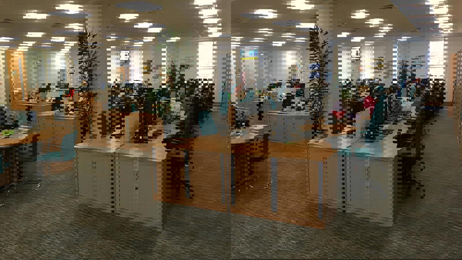 Image 14.jpeg Image 4