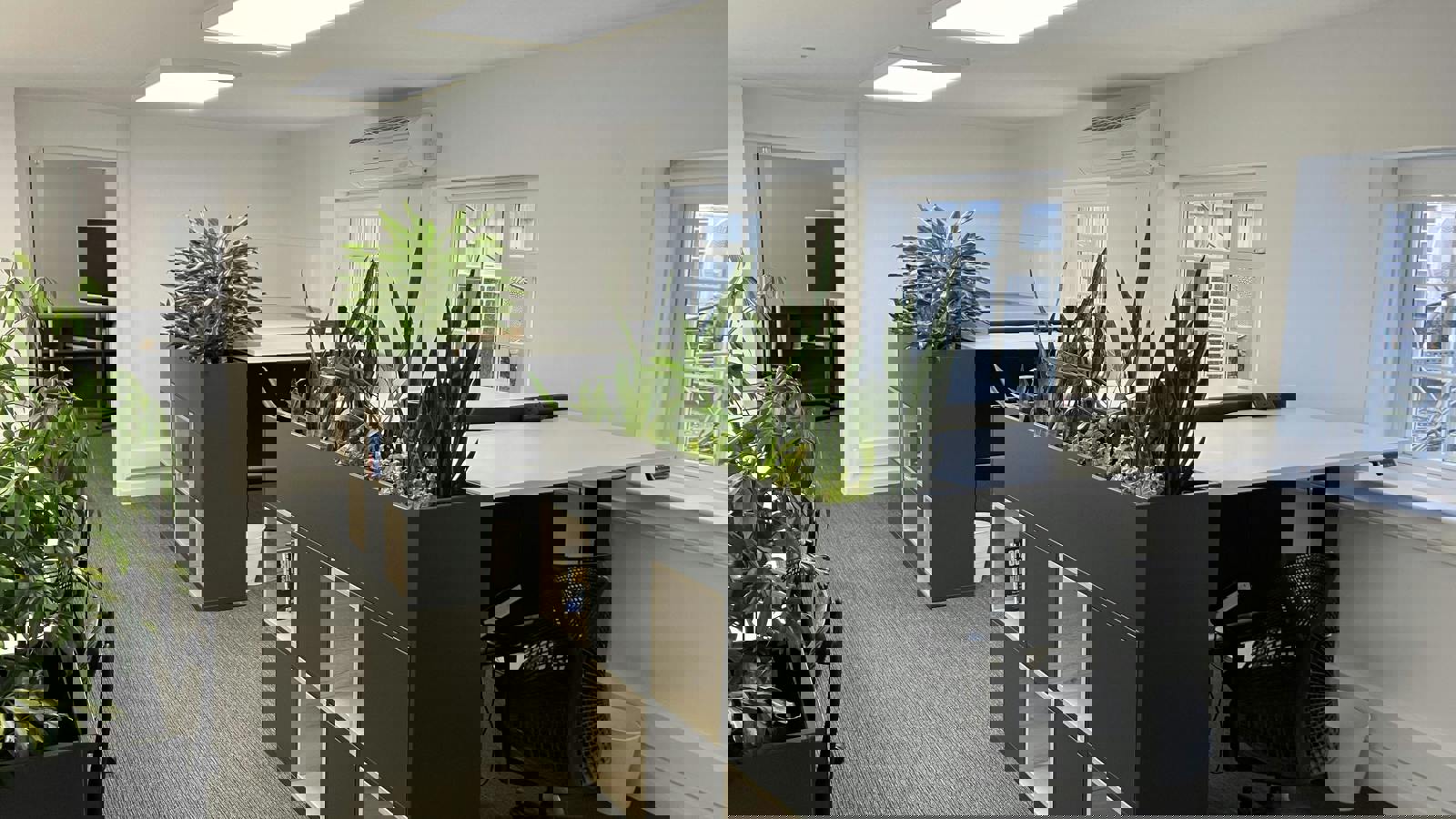 Image 17.jpeg Image 8