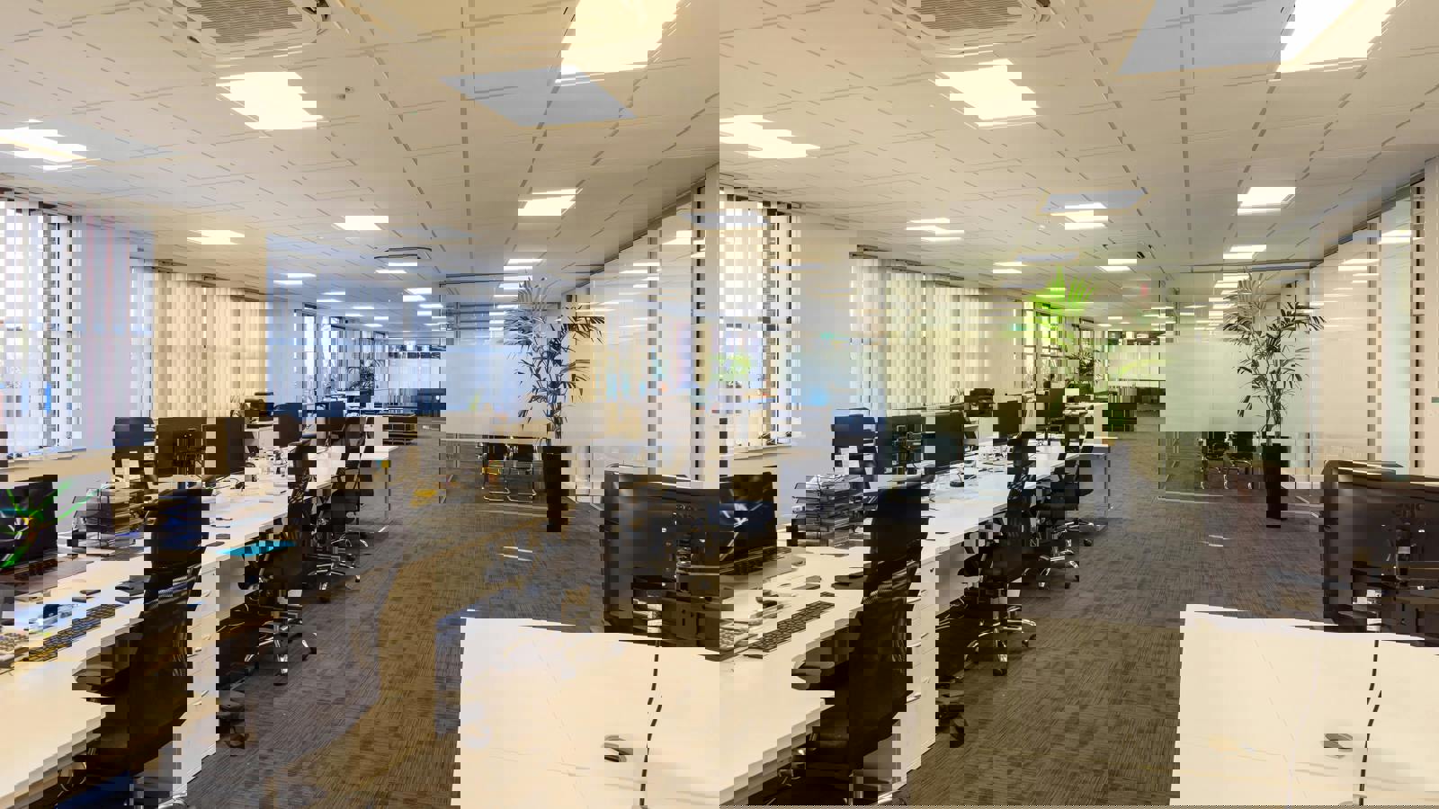 69-75 Thorpe Road  024.jpeg 69-75 Thorpe Road  024