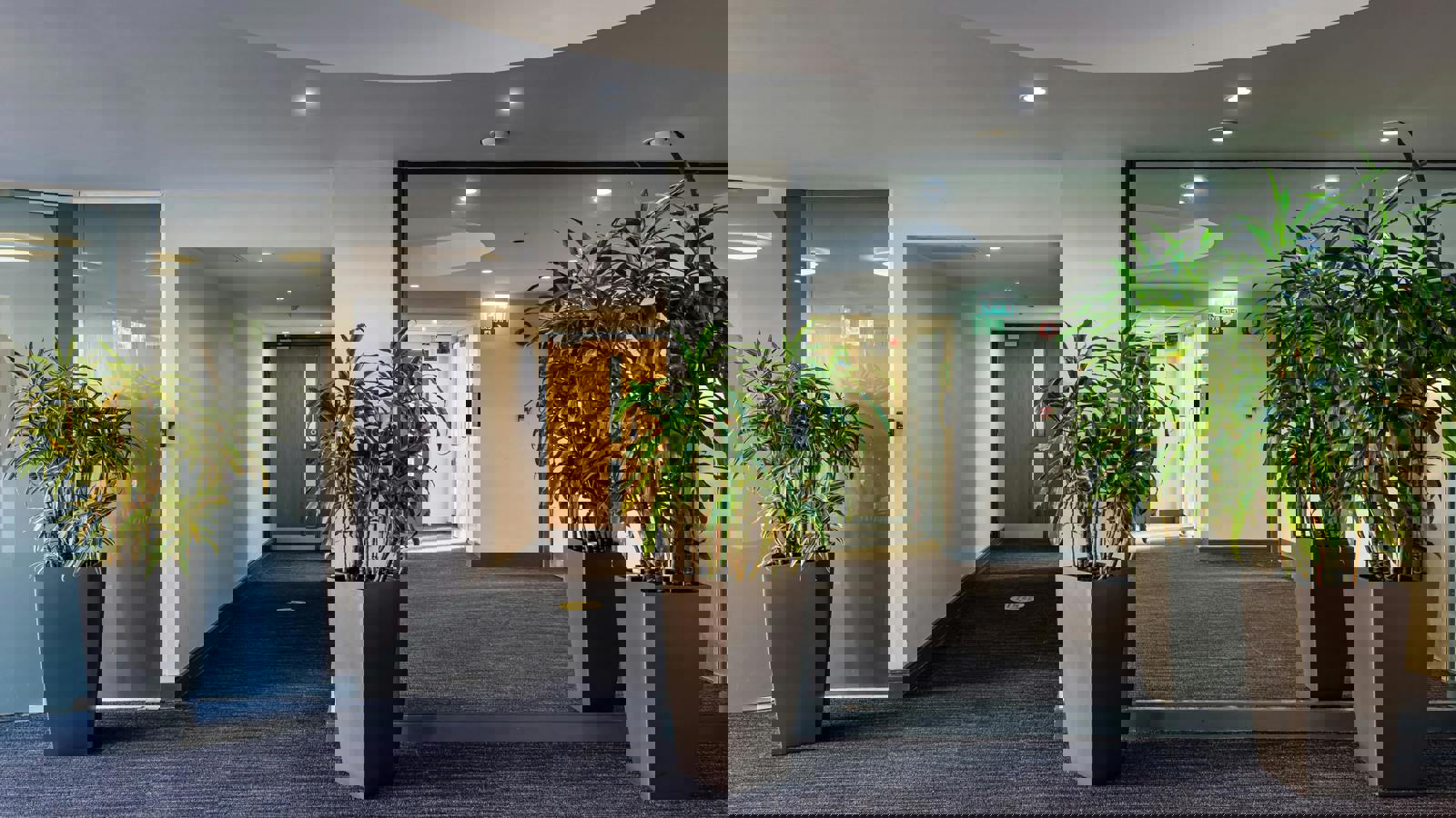 69-75 Thorpe Road  032.jpeg 69-75 Thorpe Road  032