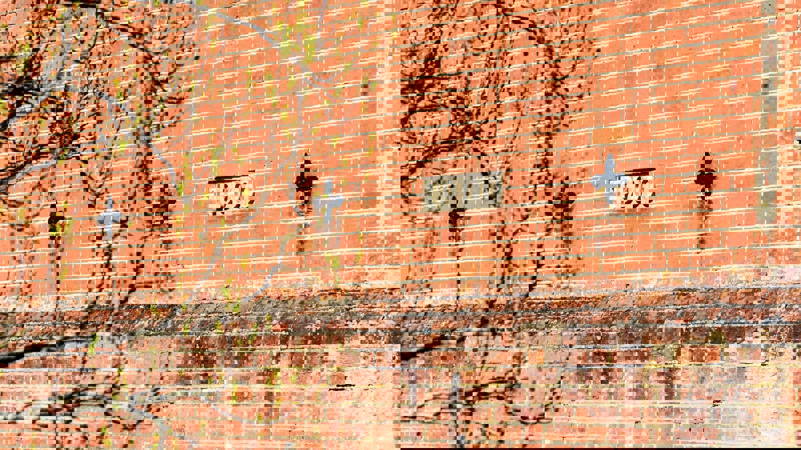 KH Exterior 022.jpeg KH Exterior 022