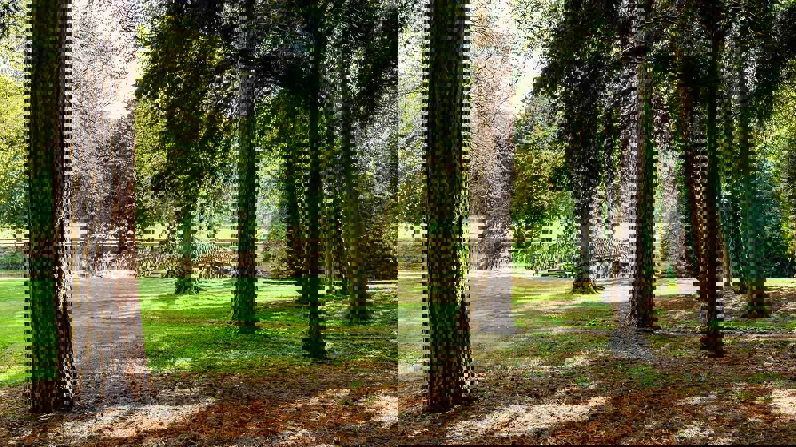 KH Exterior 038.jpeg KH Exterior 038