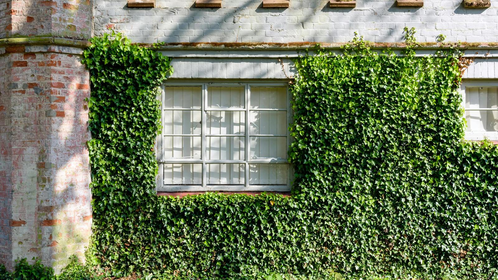 KH Exterior 0413.jpeg KH Exterior 044