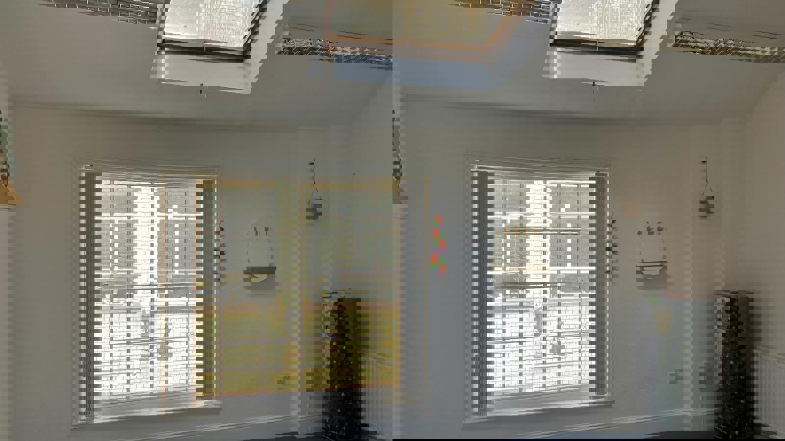 IMG_3972.JPEG IMG_3970