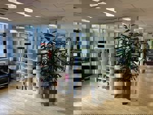  Queen Street,  Norwich,  Norfolk,  NR2 4SG picture 2