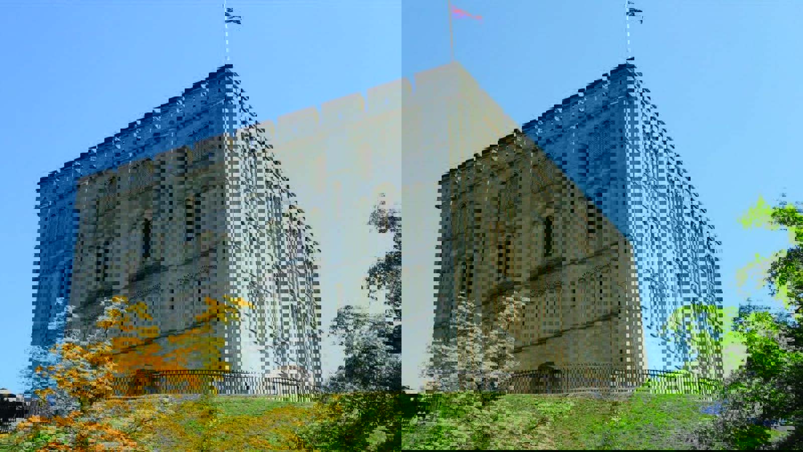 Image 111.jpeg Image 10