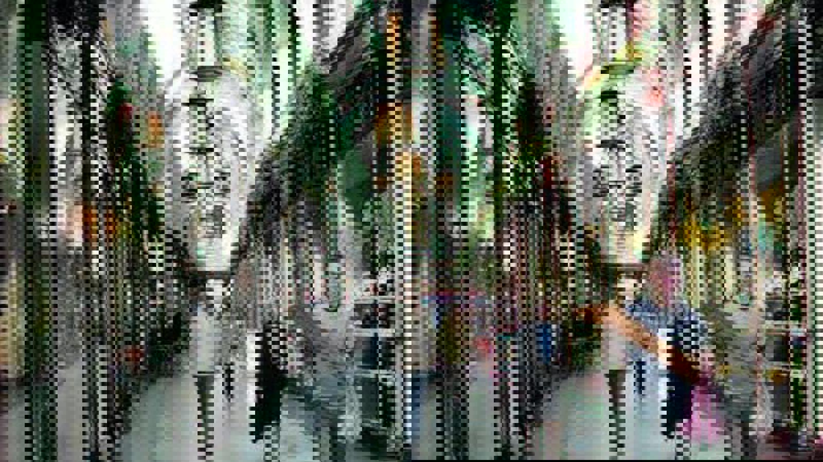 Image 112.jpeg Image 11