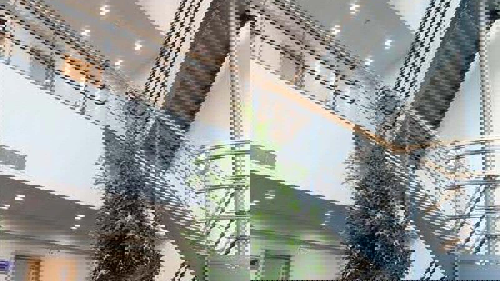 Image 14.jpeg Image 3