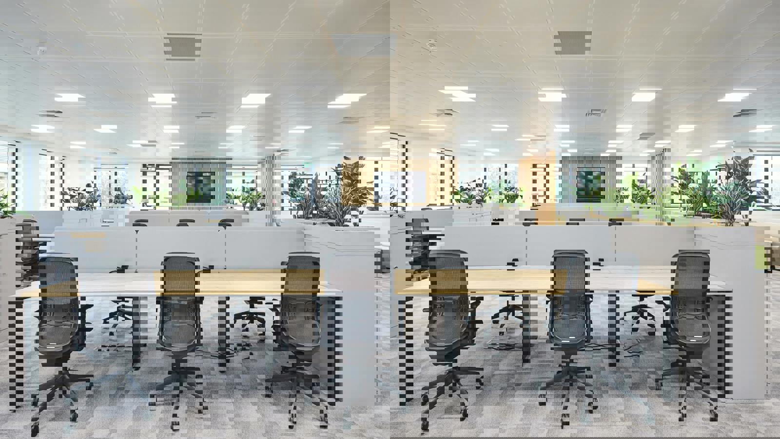 65320651.jpg 65320650