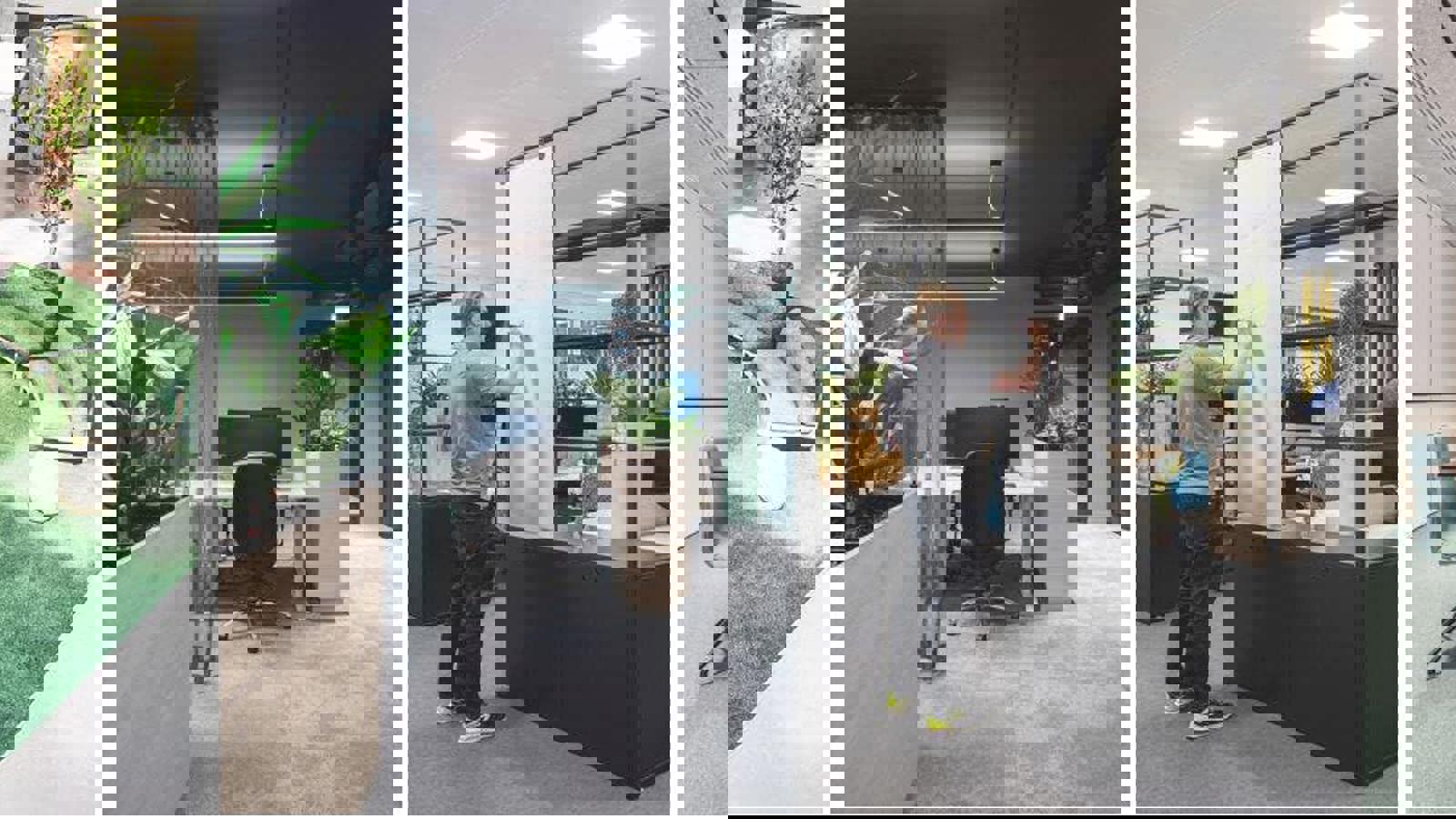 Office CGIs.JPG Office CGIs