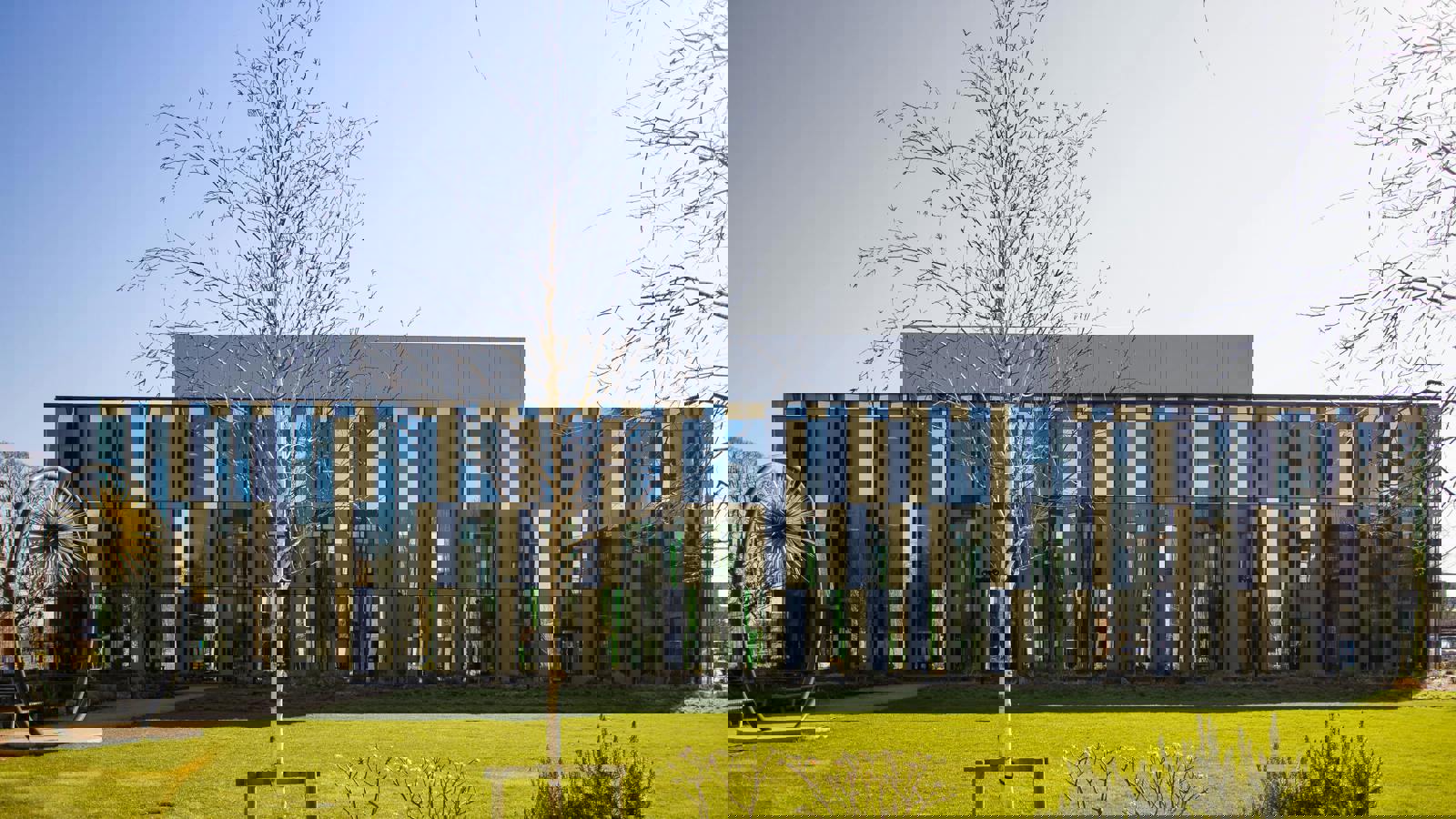 Image 1.jpeg Image 1