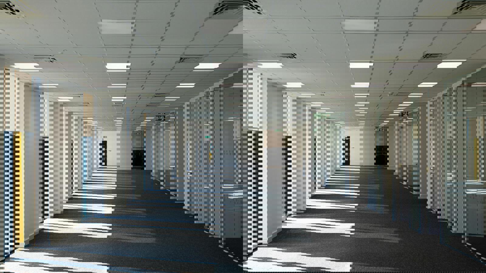 Image 5.jpeg Image 5