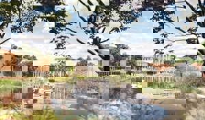  Thomson Avenue,  Harwell,  Didcot,  Oxfordshire,  OX11 0GD picture 2