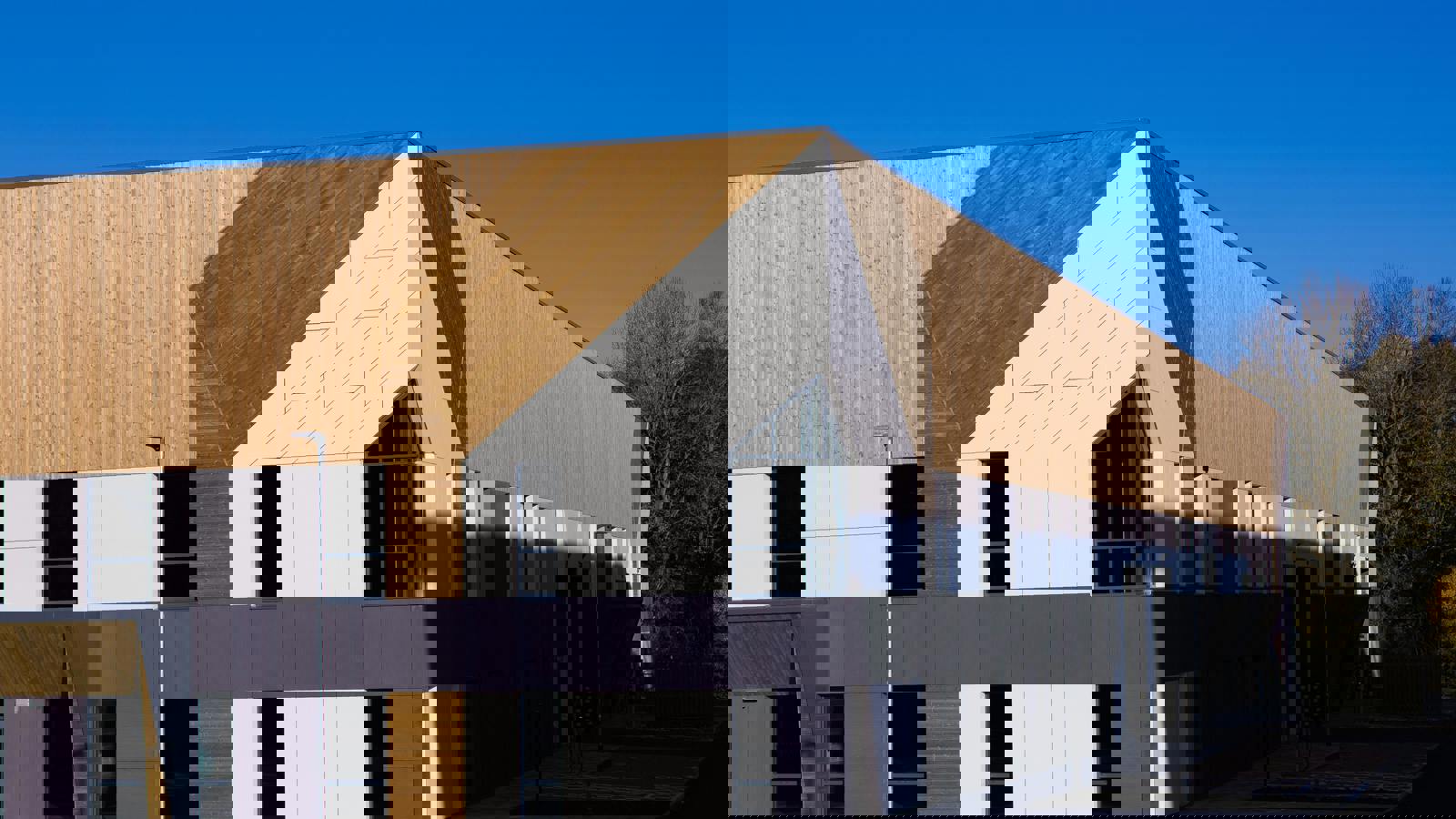 Image 2.jpeg Image 2