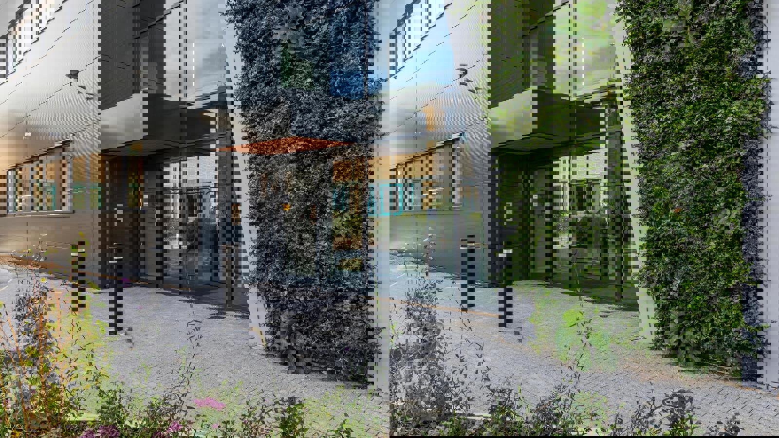 Image 11.jpeg Image 2