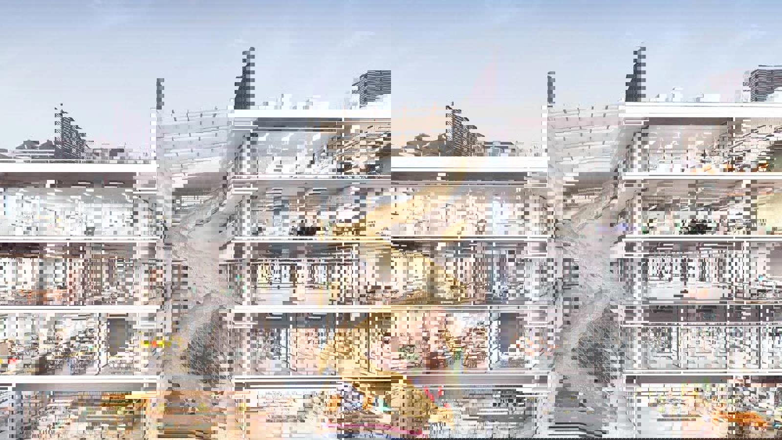 Image 7.jpeg Image 3