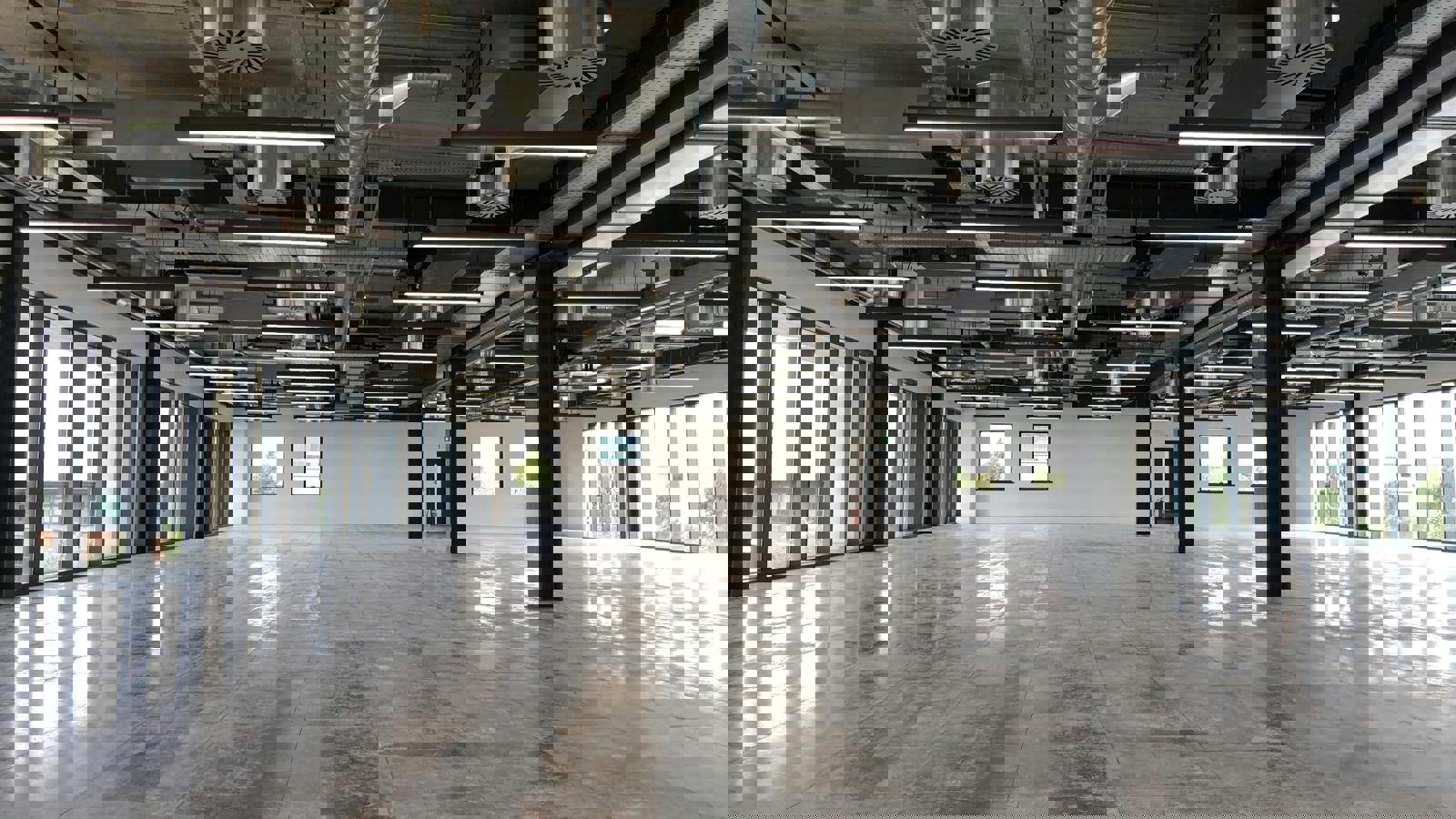 Image 8.jpeg Image 8