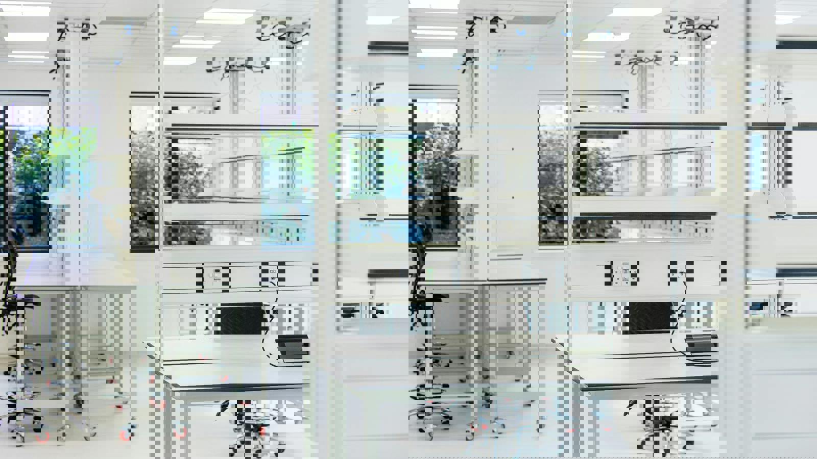 Lab TWP48.jpg Lab TWP47