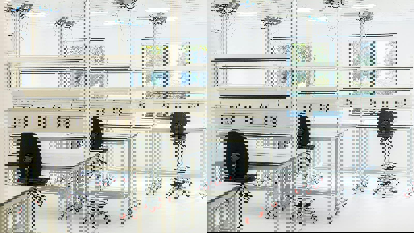 Lab TWP58.jpg Lab TWP57