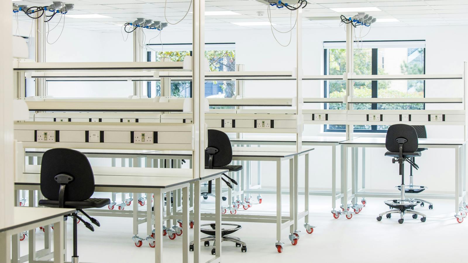 Lab TWP57.jpg Lab TWP57
