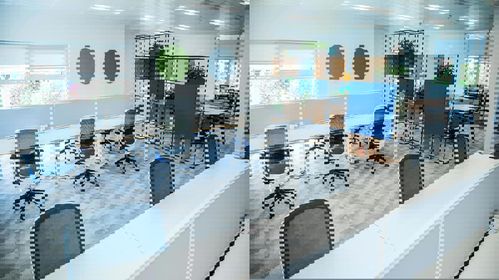 DSC05722.jpg DSC05721