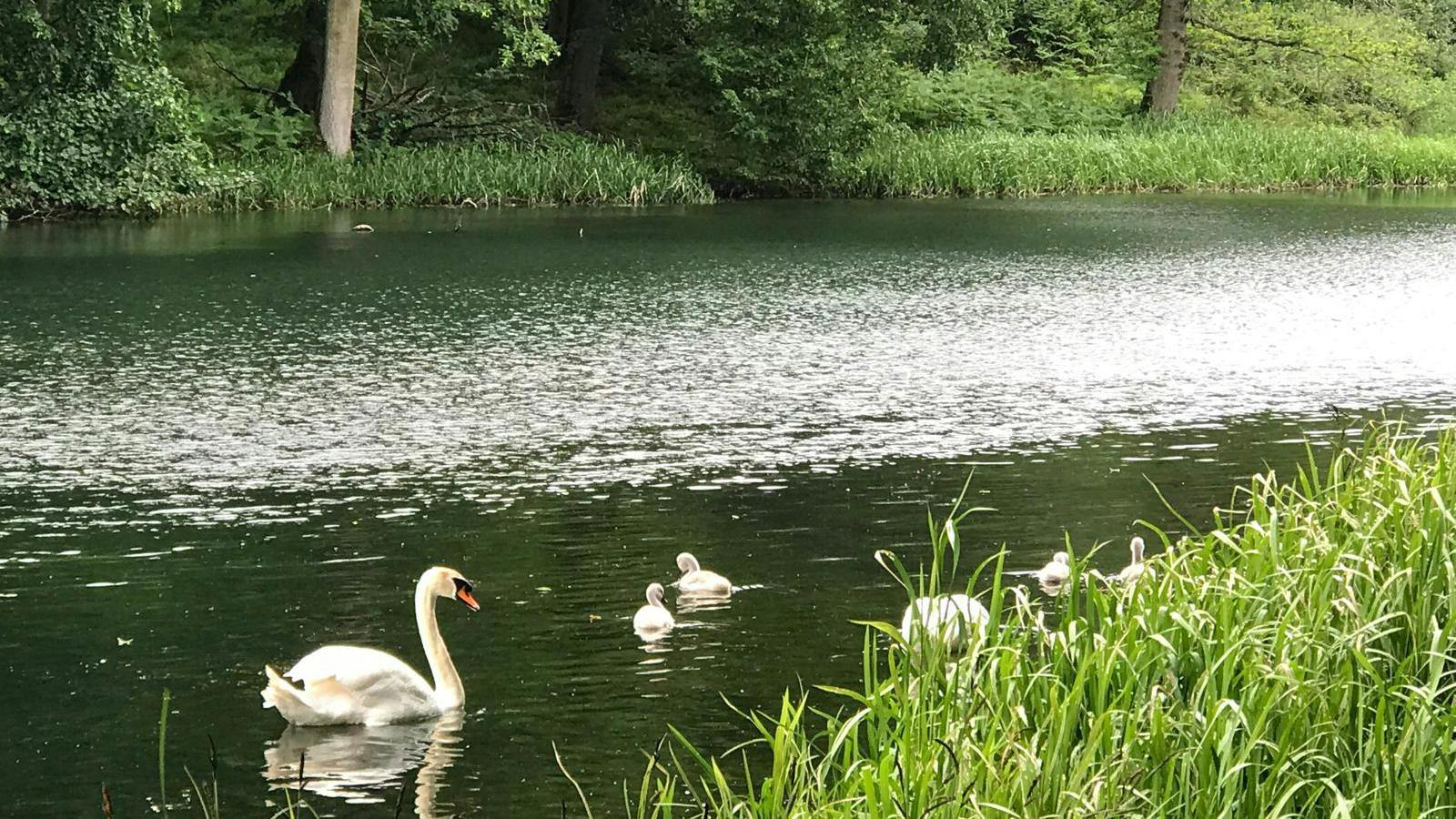 PHOTO-2024-06-29-14-29-17.jpg PHOTO-2024-06-29-14-29-16