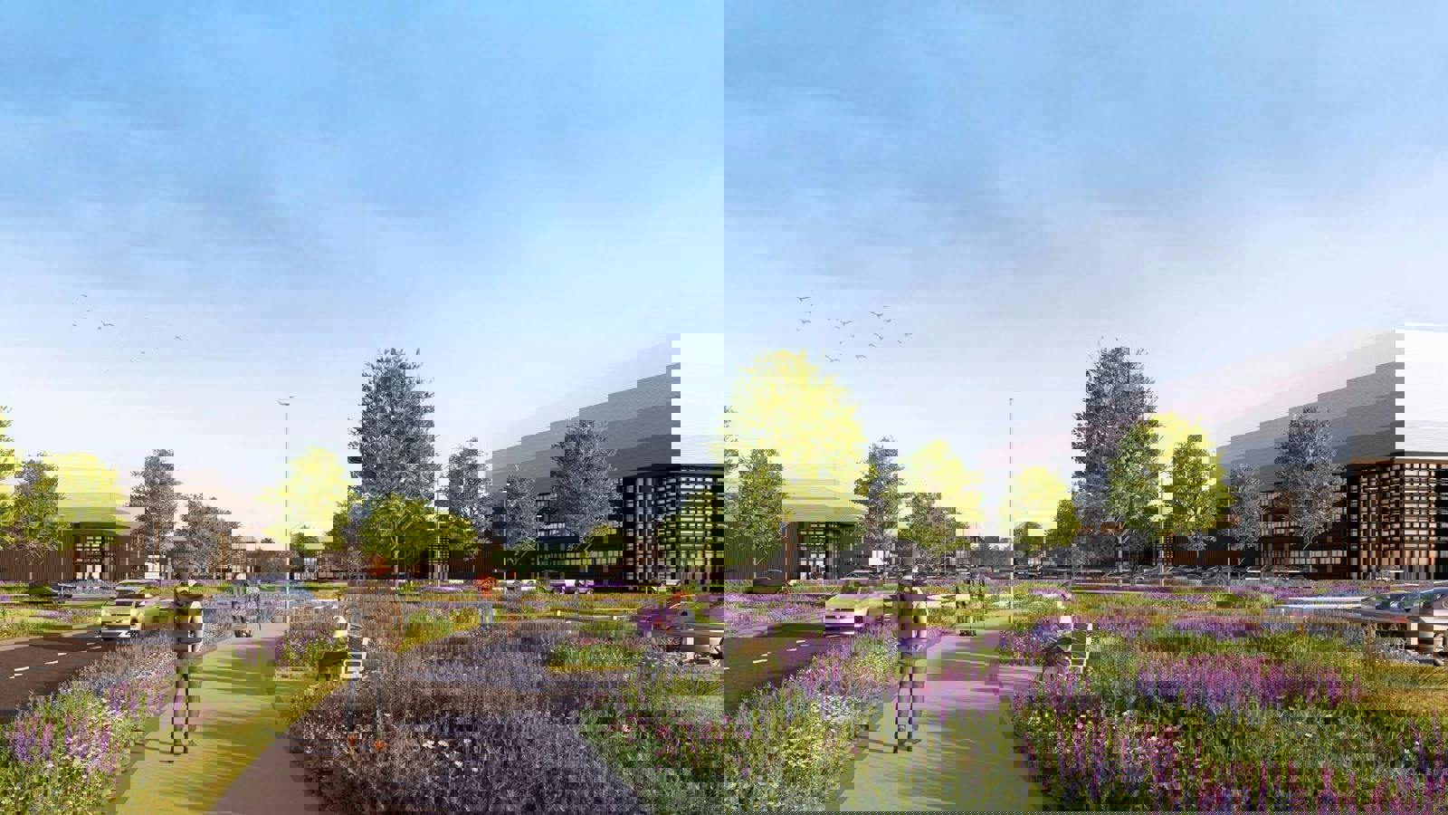 Hinchingbrooke 4PP_V7.jpeg Hinchingbrooke 4PP_V6