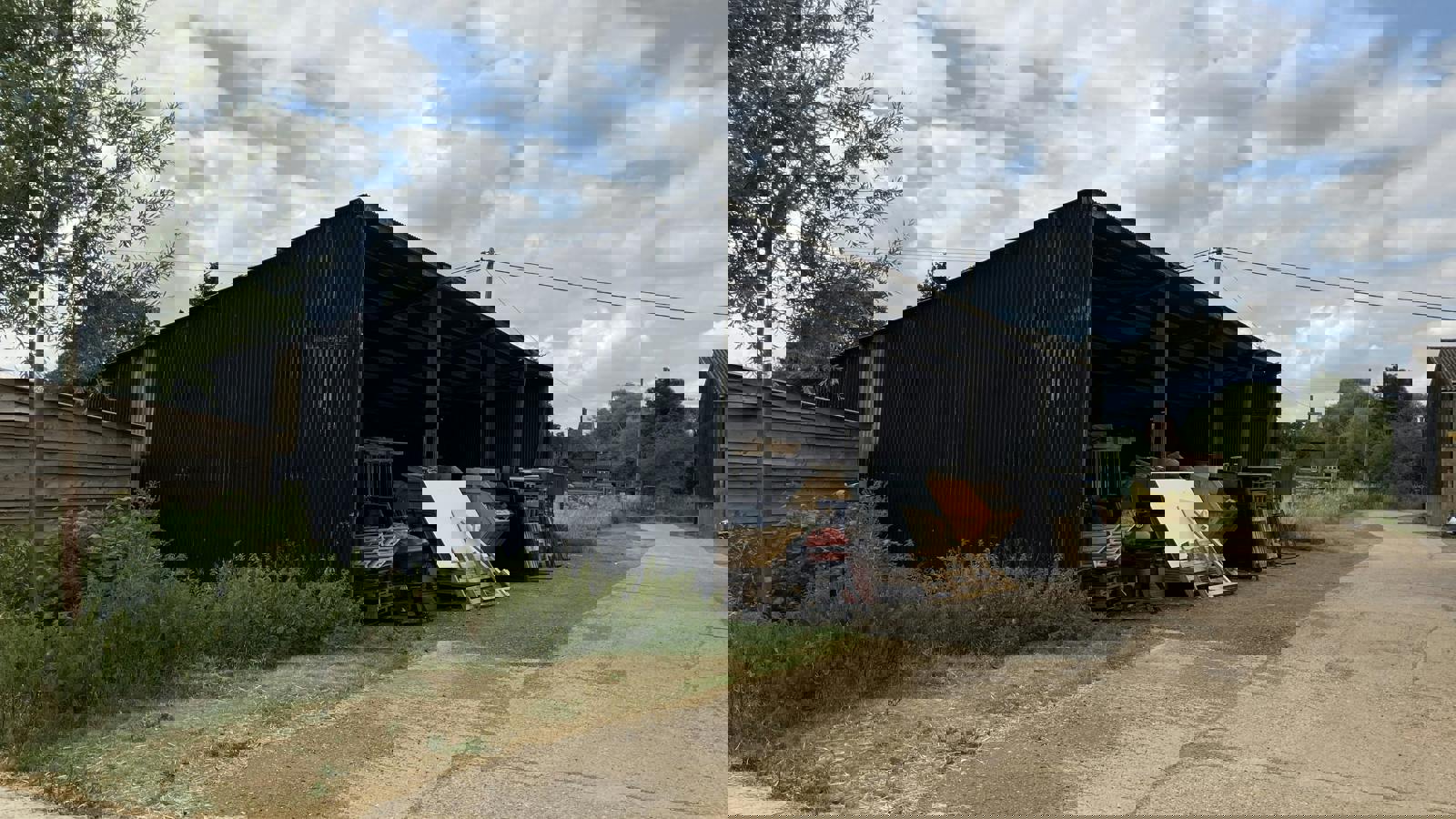 IMG_00310.jpg IMG_0039