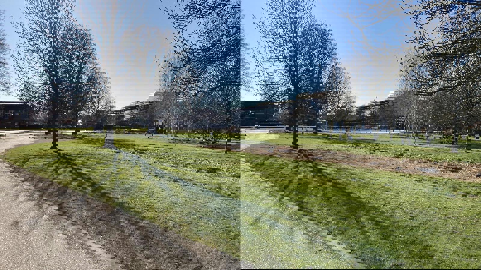 IMG_1450.jpg IMG_1450