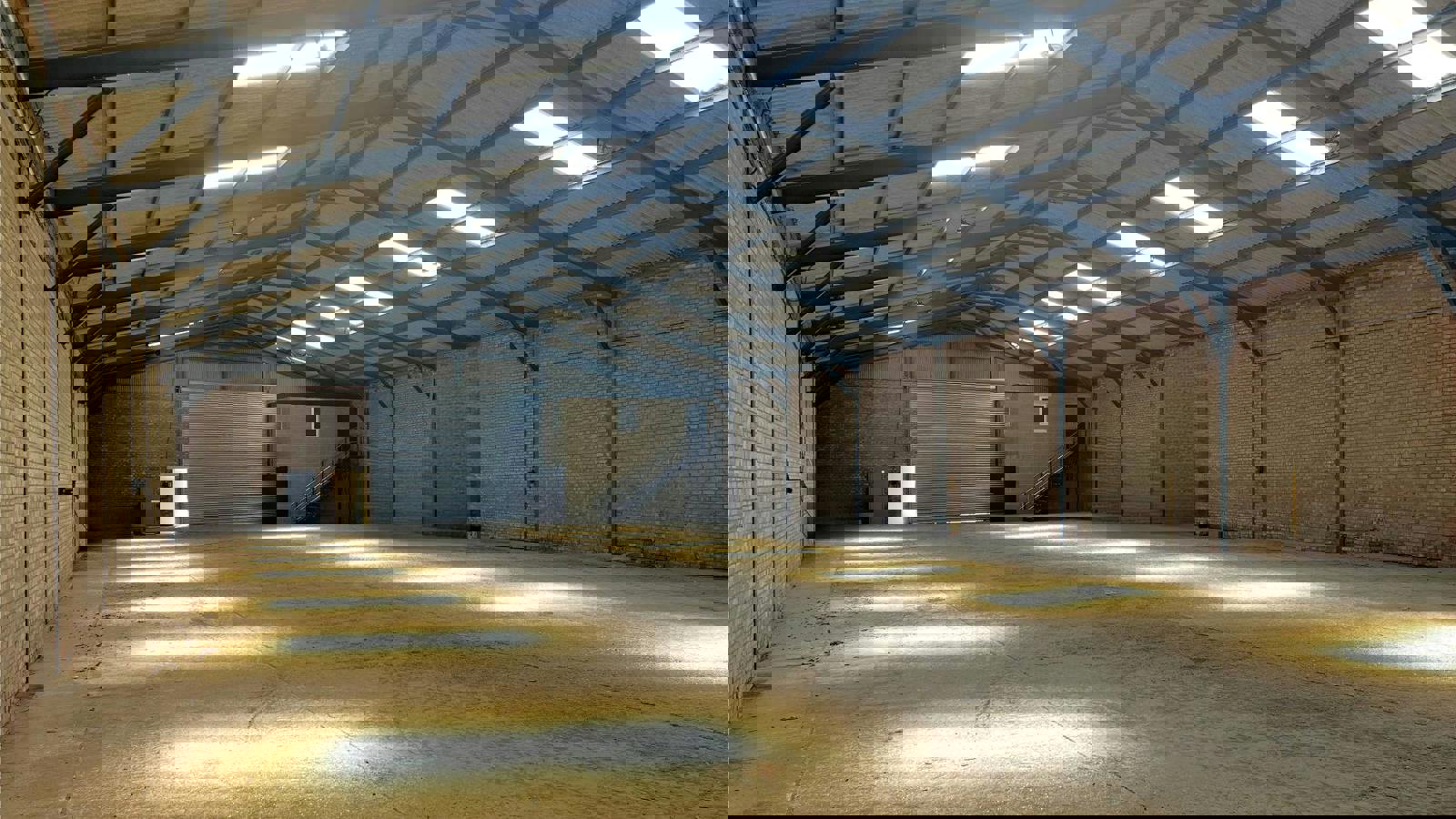 Untitled design (1)1.jpg Untitled design (1)