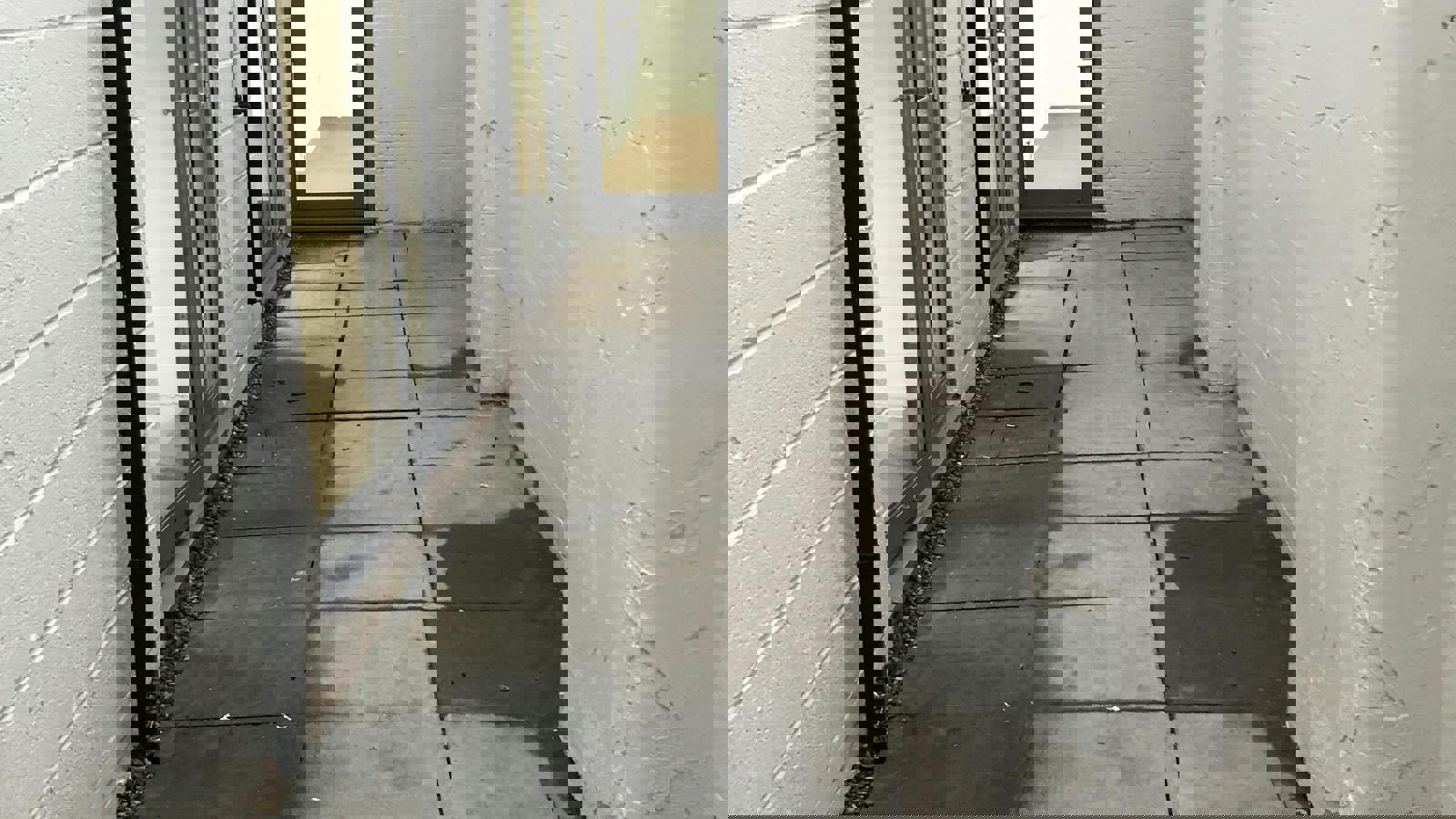 Image 6.jpeg Image 3