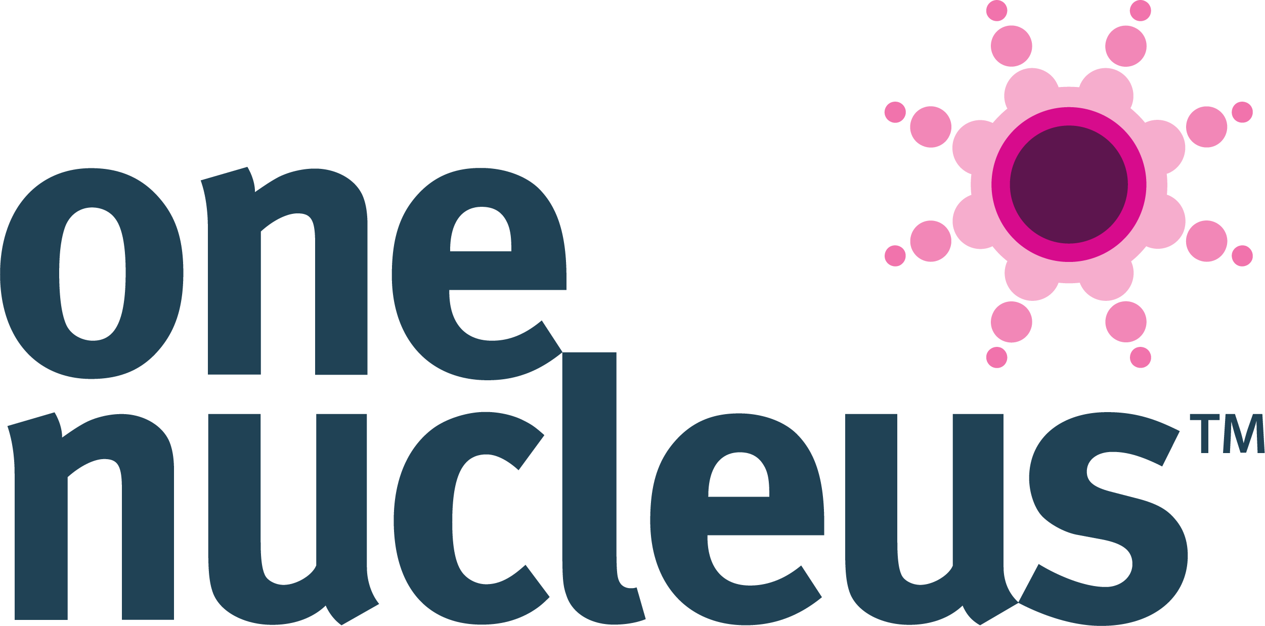 One Nucleus Logo