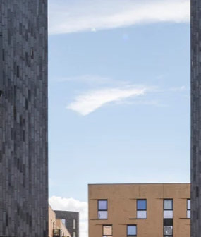 Masterplanning, Landscape & Assessment