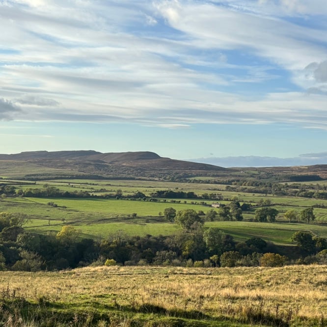Image of Rothbury