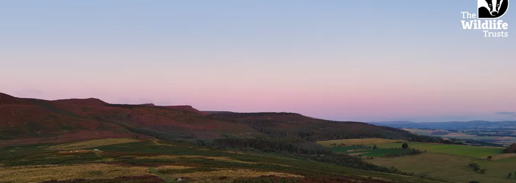 Image of Sir David Att