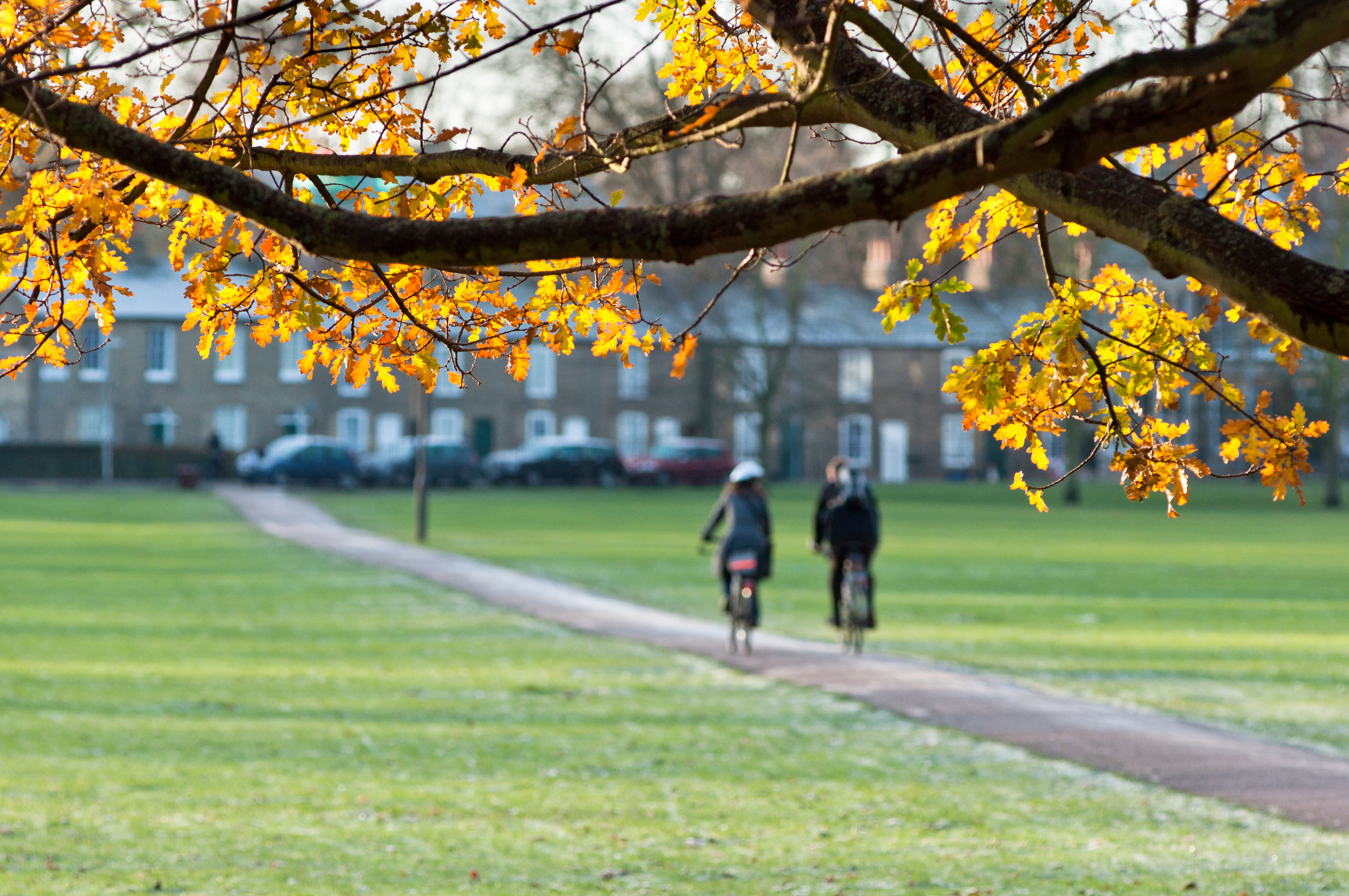 Jesus Green Cambridge