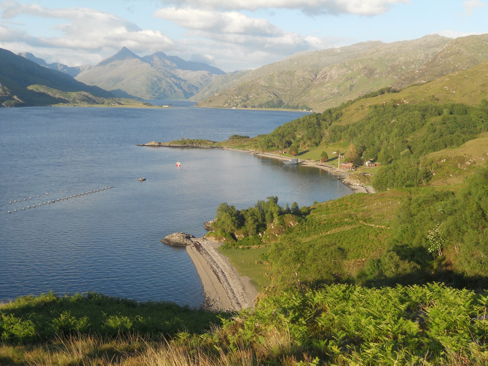 Ardintigh aerial sml.jpg