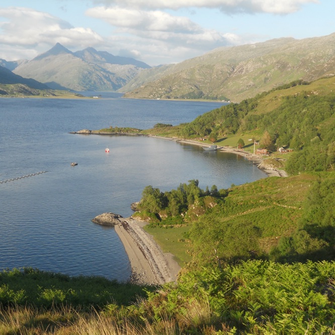 Ardintigh aerial sml