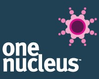 one nucleus