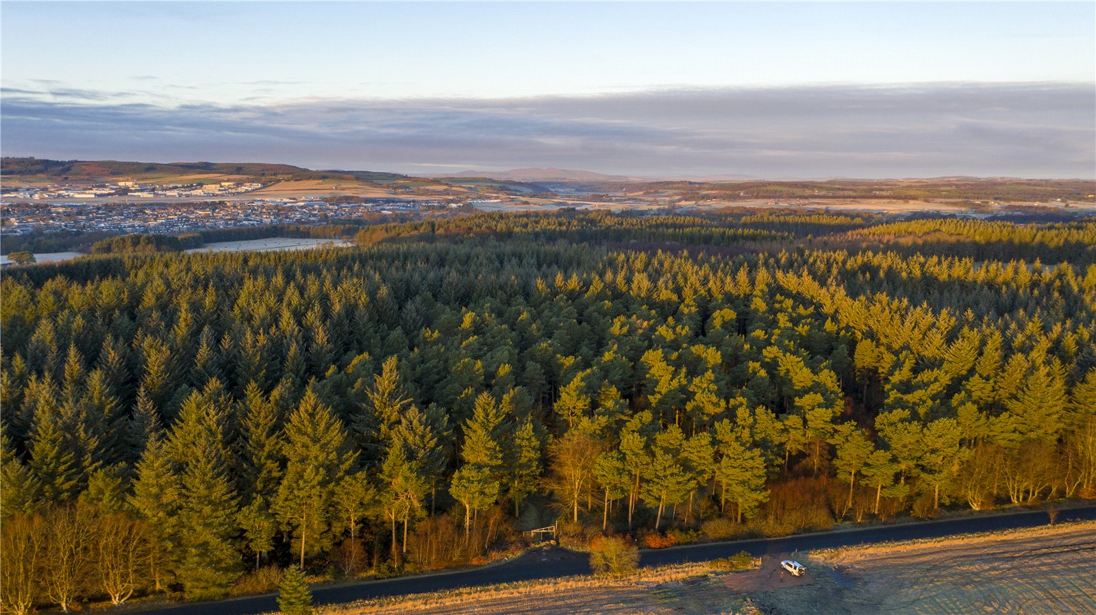 Forestry For Sale Scottish Forestry Sales Bidwells