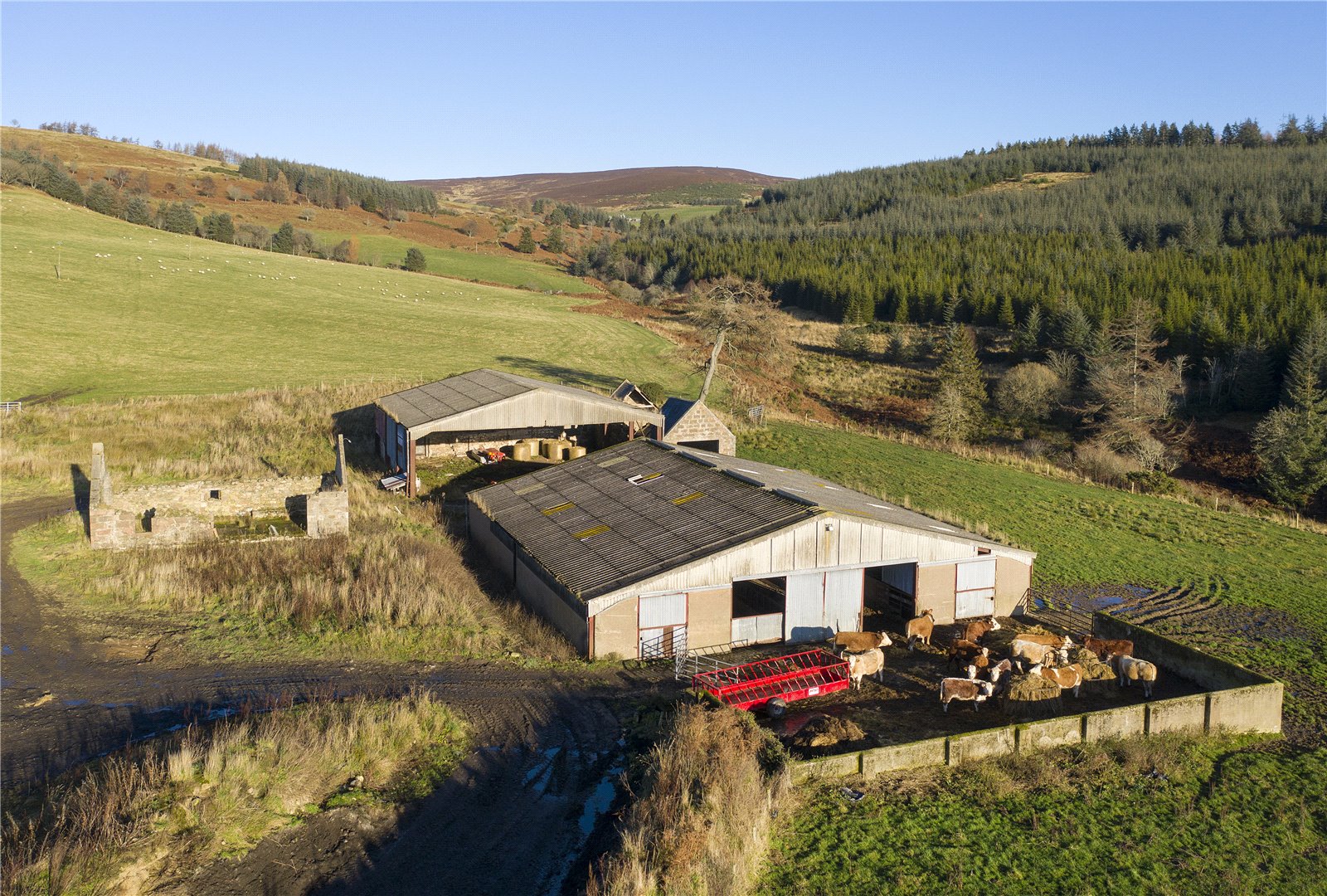 Farms & Land for Sale in Scotland Farm Land for Sale in Scotland
