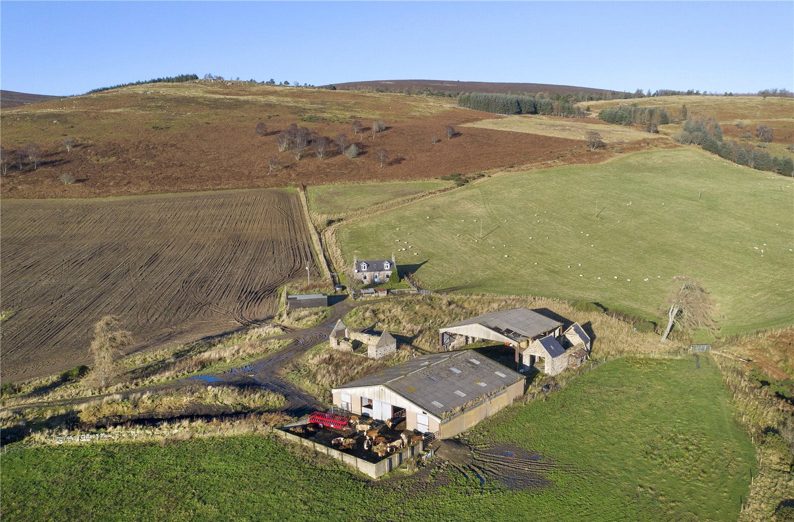 Torphins, Banchory picture 2