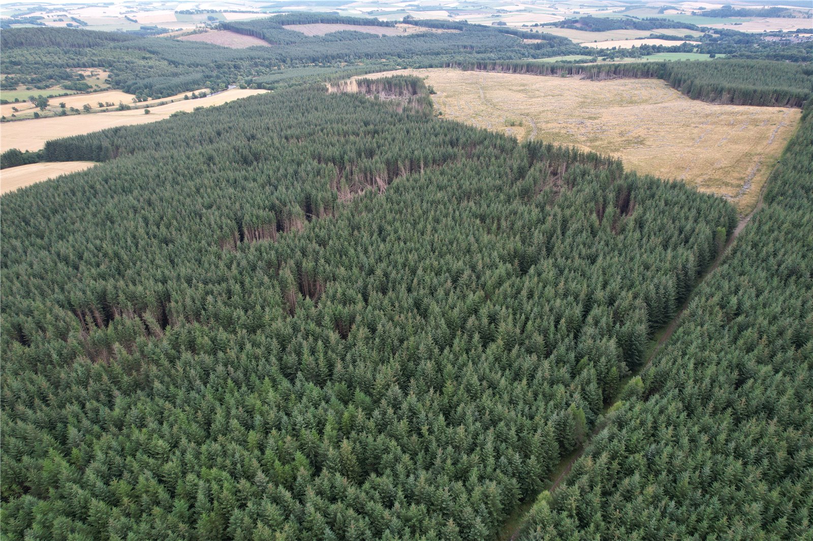 Aberdeenshire, AB54 8AE picture 1