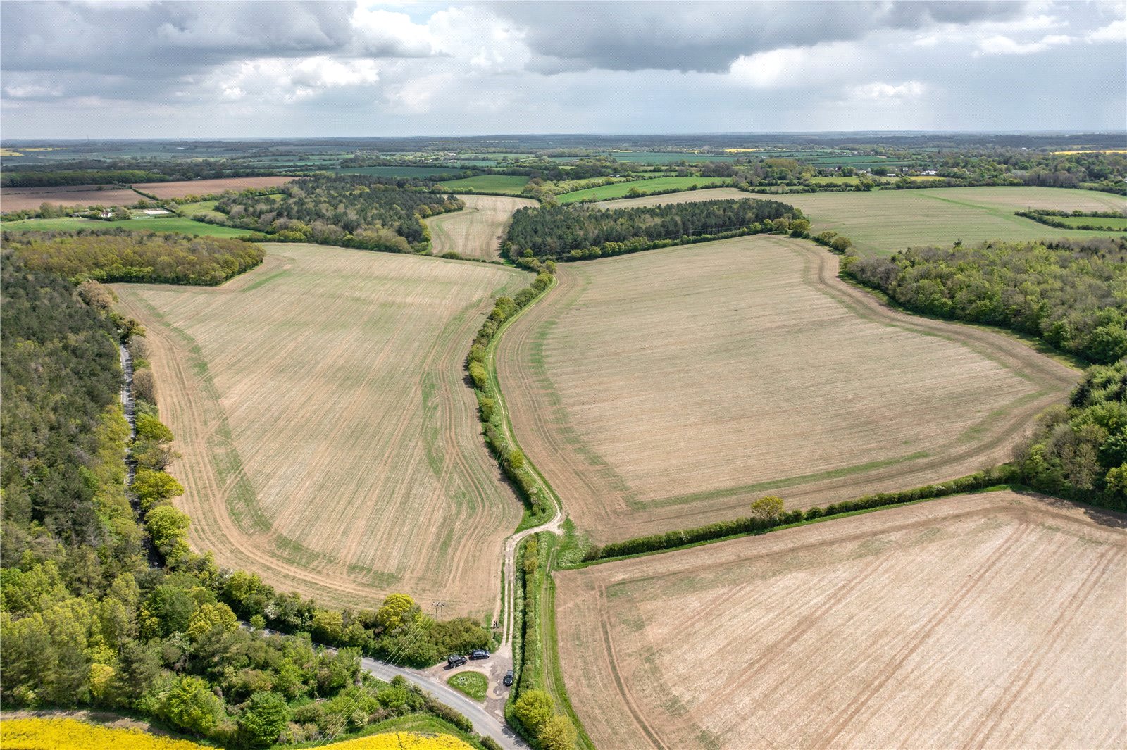 Sewards End, Saffron Walden picture 1